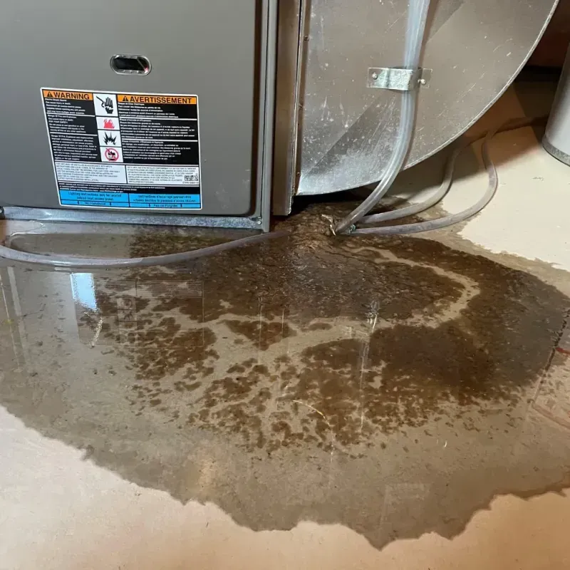 Appliance Leak Cleanup in Louisburg, NC